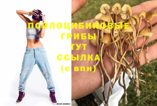 гидра Алексин