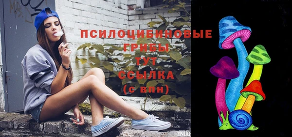 прущий лед Алзамай