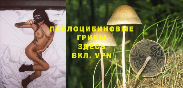 прущий лед Алзамай