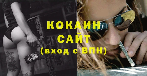 прущий лед Алзамай