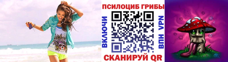где купить   Адыгейск  Псилоцибиновые грибы Magic Shrooms 