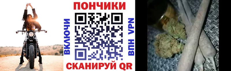 Бошки Шишки семена  где можно купить   Адыгейск 